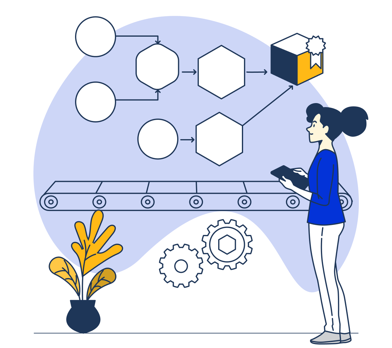 Services | Rapid Indigo